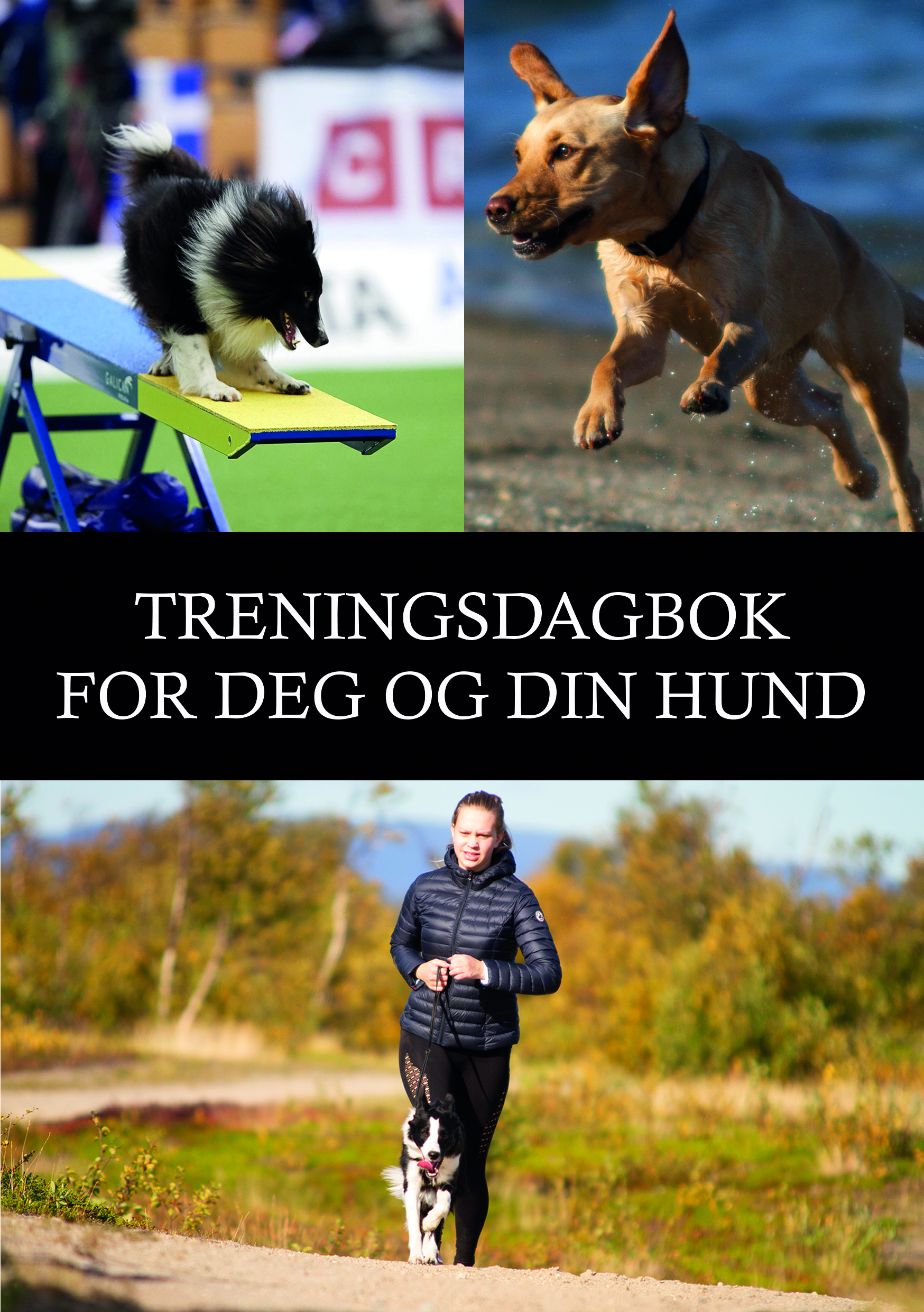 Treningsdagbok